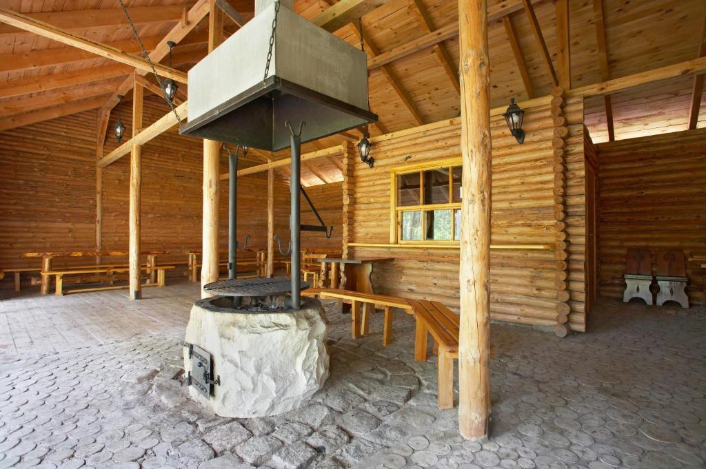 Geovita Домбкі