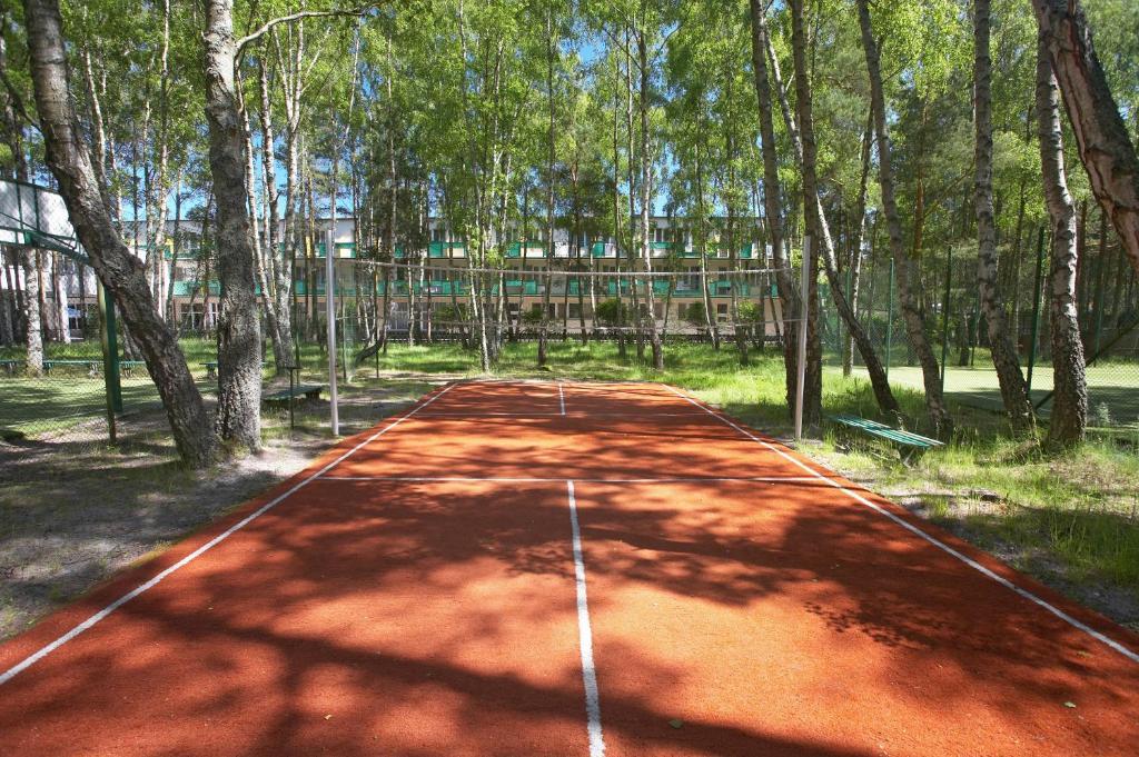 Geovita 3* Домбкі